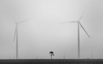 1 FOTO – 1 HISTORIA: Los Bosques del Futuro