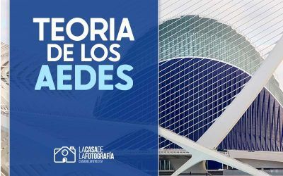 Teoría de los Aedes