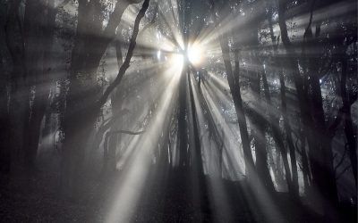1 FOTO – 1 HISTORIA: Un Momento de Luz Especial