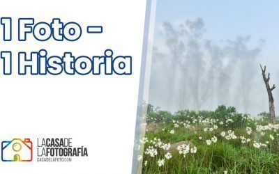 1 FOTO – 1 HISTORIA: Doble Momento en el Tofo