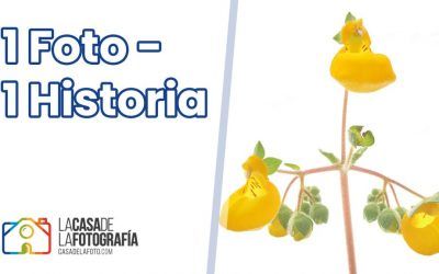 1 FOTO – 1 HISTORIA: La Capacidad de Adaptarse